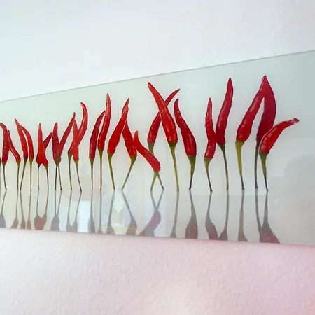 Haus Seebaer Whg. 1 Hollwert 29a 70qm *